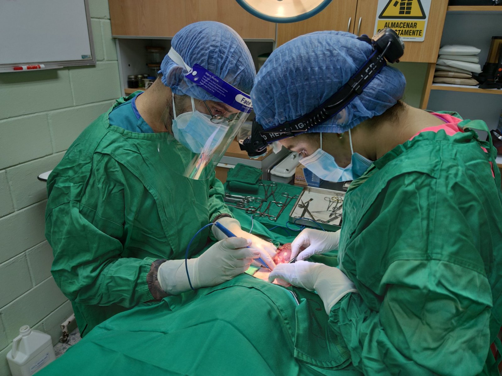 Centro Veterinario Los Colorados - Cirugía a mascotas