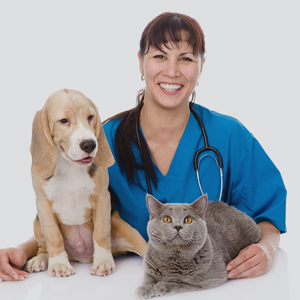 Female Vet with Dog and Cat Female Vet with Dog and Cat