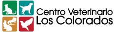 Vetloscolorados Logo